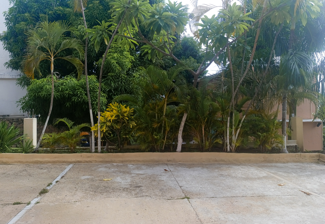 img-12